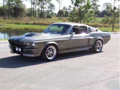 Mustangs for sale
